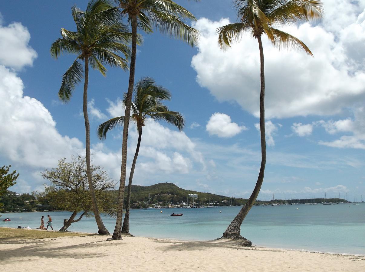 Residence Tobago サンタンヌ エクステリア 写真